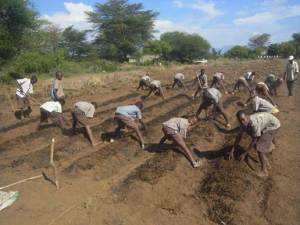 Kisangasangeni adding compost